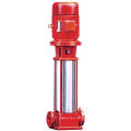 Yonjou High Lift Water Pump (QDL)